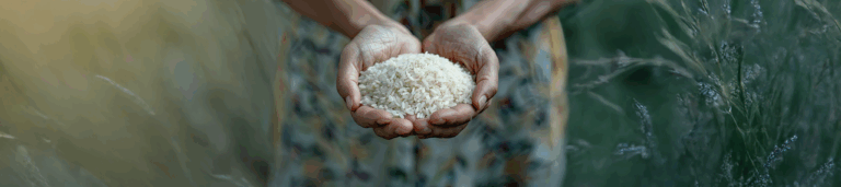 fc39dd5956f1528474000d4feeb6517e87beb6fa